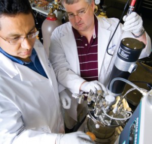 Drs. French and Hernandez work on biofuel production, specifically on the identification and harvesting of oleaginous microorganisms that naturally grow in wastewater and become extremely fat with oil when feeding off wastewater nutrients.