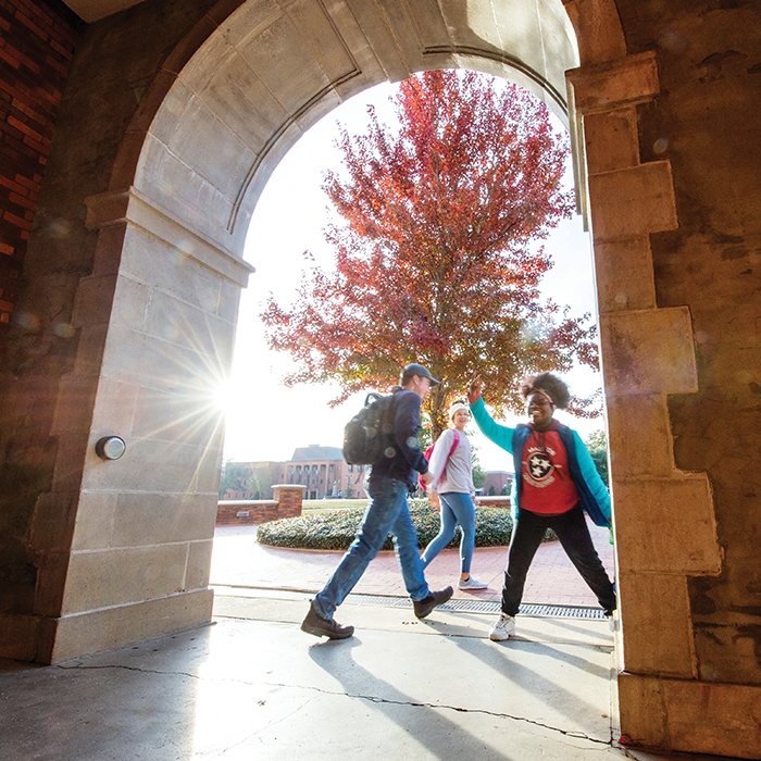 Student McCain Arch